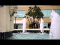 Don Dinero & A.G Cubano – Moskato Life (Comercial)