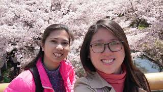 Sakura Chasing | Japan Supercut E2
