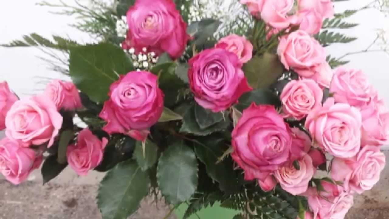Obejrzyj LES ROSES DE BARBARA w YouTube Obejrzyj LES ROSES DE BARBARA w YouTube