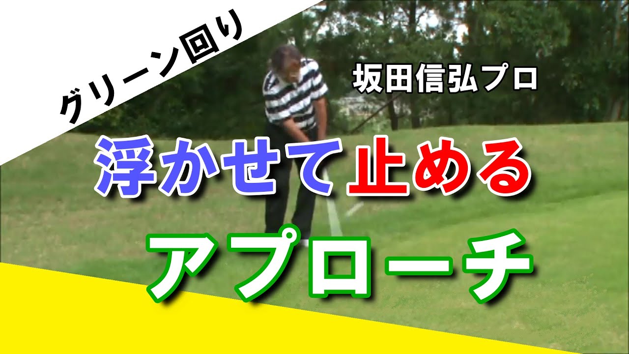 坂田 信弘 スウィングスピード進化論 50歳を超えても伸びる 飛距離への挑戦 アイアン編 リアルスタイル Real Style ビーレジェンドプロテイン スポーツdvd