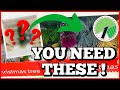 🎄NEW Dollar Tree CHRISTMAS TREE HACKS! (must see DIY hacks you NEED to see!) NEW 2022 DIYS🎄