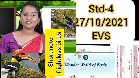 # first Bell class STD 4 -EVS -Wonder World of birds #27/10/2021