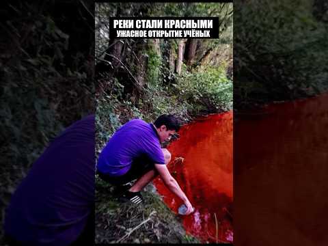 Учёные стали замечать ужасные вещи в природе
