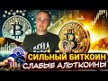 Сильный БИТКОИН, слабая АЛЬТА – неизбежность альтсезона и внимание на доминацию