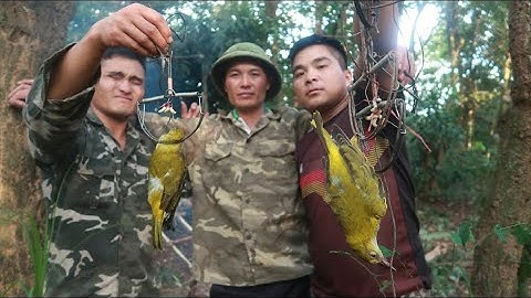 Cách bẫy chim rừng ► nhật ký sống trong rừng - tập 11 | Nhịp Sống Tây Bắc