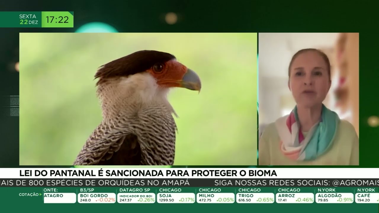 Lei do Pantanal é sancionada para proteger o bioma