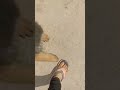 سلطان وهو بيسلم عليا ماشاءالله 