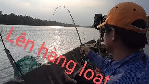 mồi tép kết hợp với mồi sen trúng ổ cá út siêu khủng.. lên cá út siêu khủng hàng loạt