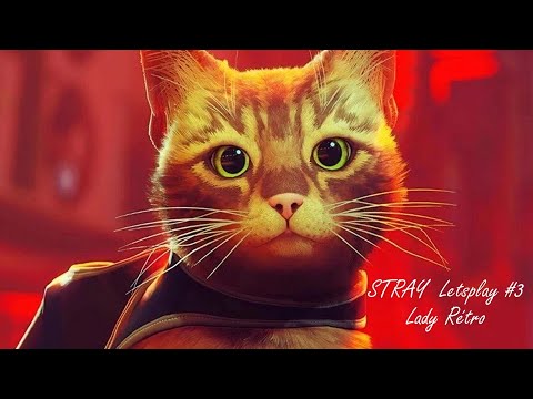 STRAY : Une vie de chat – Letsplay #3