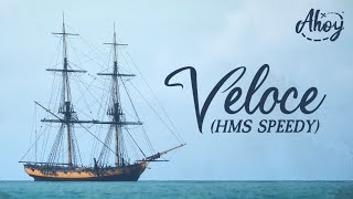 AHOY Showcase  |  "Veloce" (HMS Speedy) screenshot 3