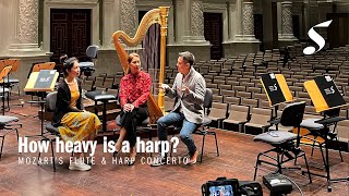 How heavy is a harp?