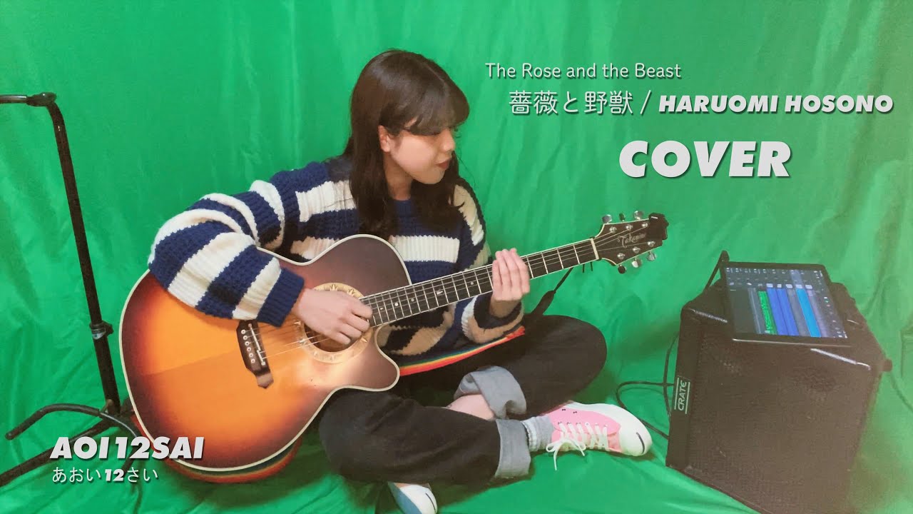 Haruomi Hosono 細野晴臣 - 薔薇と野獣 Bara To Yaju (COVER)