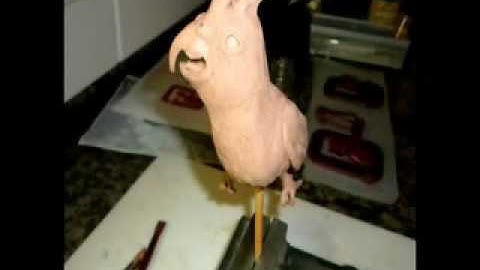 Cao Yong: The Story of Toby Part 1