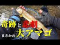大アマゴ！渓流釣りで起きた『まさかの奇跡！』