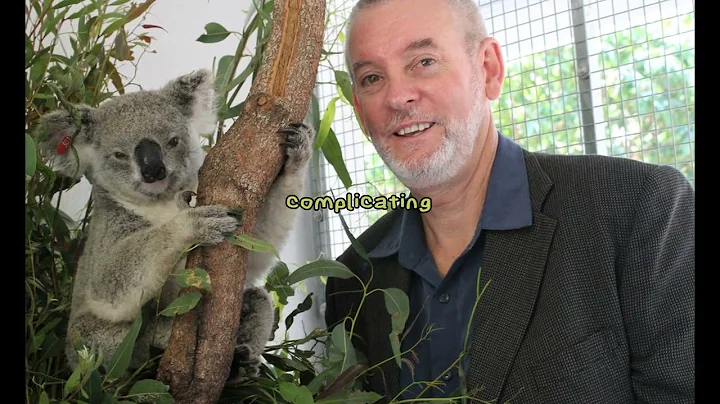 Where Have All the Koalas Gone? 10 Facts Revealed!