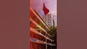 Trường Đại học Khoa học tự nhiên hòa mình vào không khí 50 năm Đất Nước trọn niềm vui #hcmus #qst