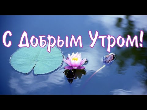 Пожелания С Добрым Утром.С Добрым Утром и Хорошим Днем! / ! Красивое пожелание С Добрым Утром🎈