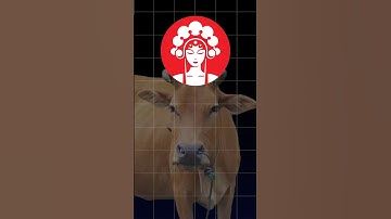 Trà sữa cao cấp Chagee Trung Quốc đang nhận hậu quả vì coi thường lòng yêu nước của người Việt Nam