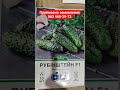 #насіння #огород