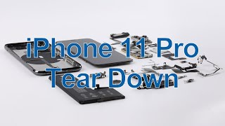 iPhone 11 Pro Teardown - Comparison with XS & Compatibility Reveal.