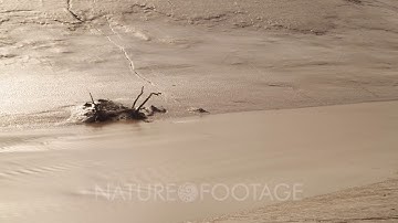 Time lapse Extreme Tides At Bristol Channel