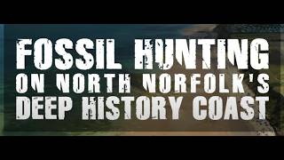 Fossil Hunting on the Deep History Coast