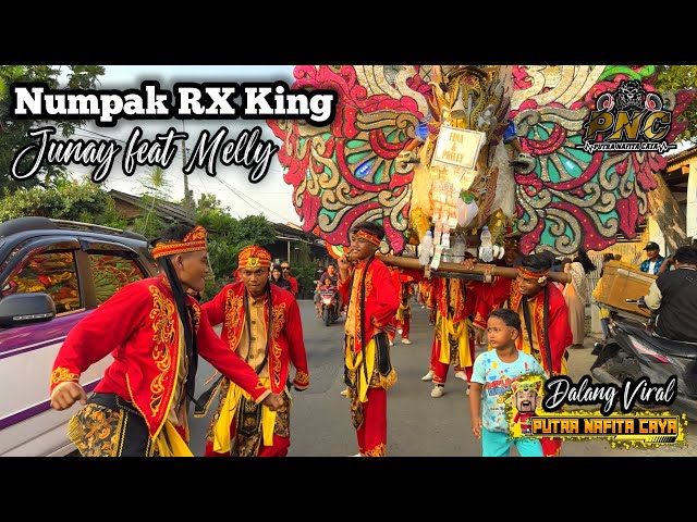 Dalang Viral ❗ NUMPAK RX KING VOC. JUNAY feat MELLY - PUTRA BAFITA CAYA (PNC) || LIMPAS - PATROL class=