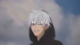 Mi Gata - Audio Edit
