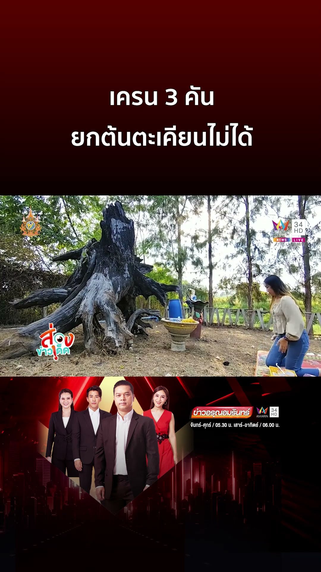 ต้องมีอะไรบางอย่าง? เครน 3 คันยกต้นตะเคียนไม่ได้ | ข่าวอรุณอมรินทร์