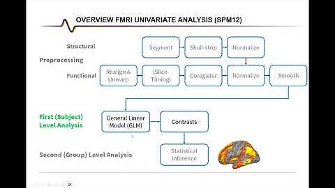 fMRI Analysis with SPM: First Level Analysis (with GUI)