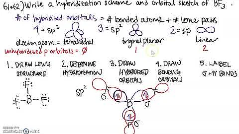 This Is How We Do It... BF3 hybridization with Elizabeth