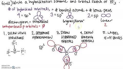 This Is How We Do It... BF3 hybridization with Elizabeth