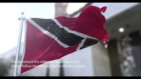 Trinidad and Tobago flag with 3d effect blowing in the wind 3D Flag V2 long
