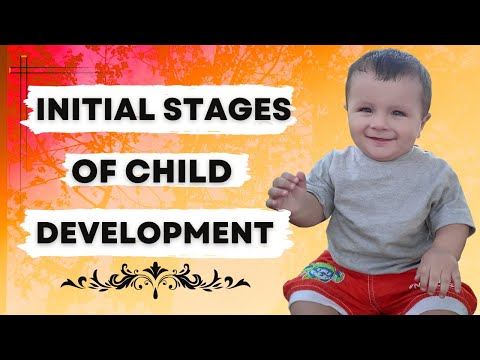 stages of development