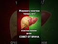 Очистка печени при жировом гепатозе — просто и натурально! #здоровье #полезныесоветы #лечение #врач