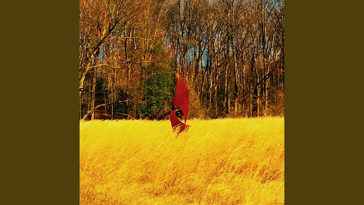 Calico Muskrat - YouTube