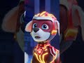 paw patrol u kinima #movie #pawpatrol #psici