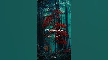 |إِنَّا كَفَيْنَاكَ الْمُسْتَهْزِئِينَ|سورة الحجر|القارئ هزاع البلوشي