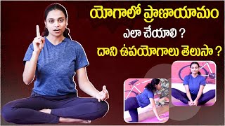 Yoga For Beginners at Home || Pranayama For Beginners || Yoga With Sahithi || Socialpost Fitness