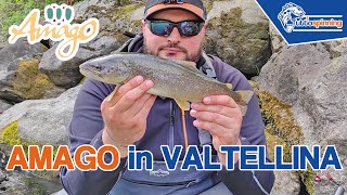 TROTE in VALTELLINA con la nuova AMAGO di ULTIMATE FISHING 🎣 Diari di pesca screenshot 2