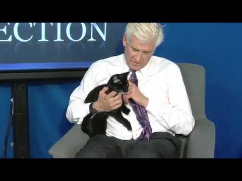 upload image Pet Connection Shawn 4-24-19