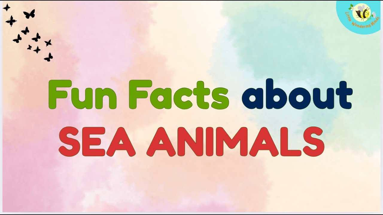 🌊 Under the Sea Adventure | Fun Facts About Ocean Animals for Kids ...