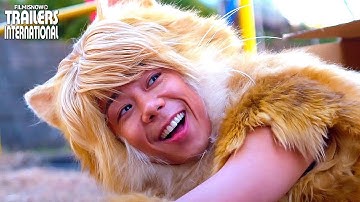 映画『トラさん～僕が猫になったワケ～』予告編2