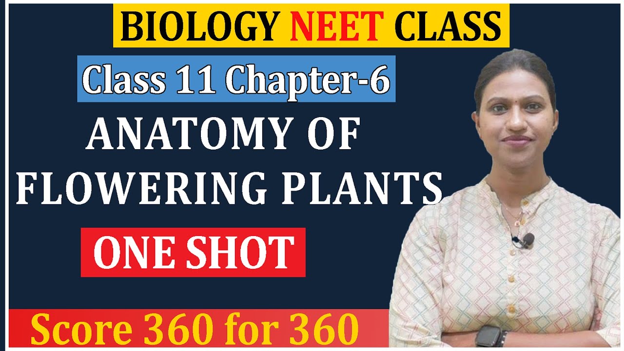Anatomy of Flowering Plants Class 11 One Shot for NEET 2026 - YouTube
