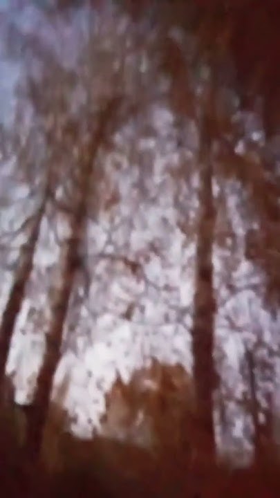 Дивногорск♥️☺️ - YouTube