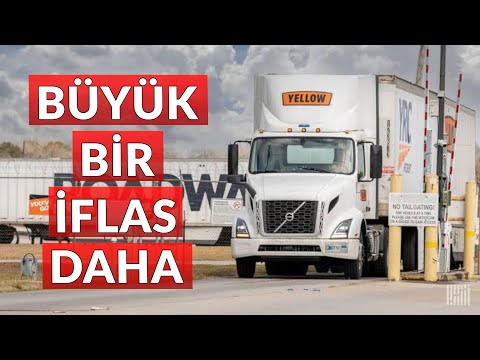 Video: Atlar üçün ad necə seçilməlidir?