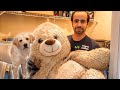 Washing My Dog's Bed and Giant Teddy Bear | He is Angry On Me
