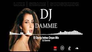 El Donia Helwa | Organ Mix | Nancy Ajram | DJ Dammie