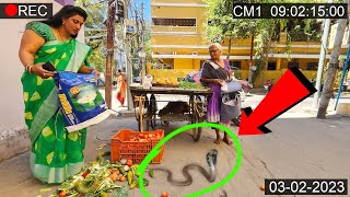 See What This Rich Lady Did To Old Vegetable Seller | Vegetable Selling 🙏🙏