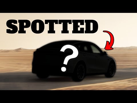 First Daytime Spotting of Tesla Model Y L: Stats, Speculations, and Must-Have Accessories
